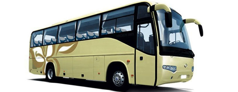 Bus 55 Seater